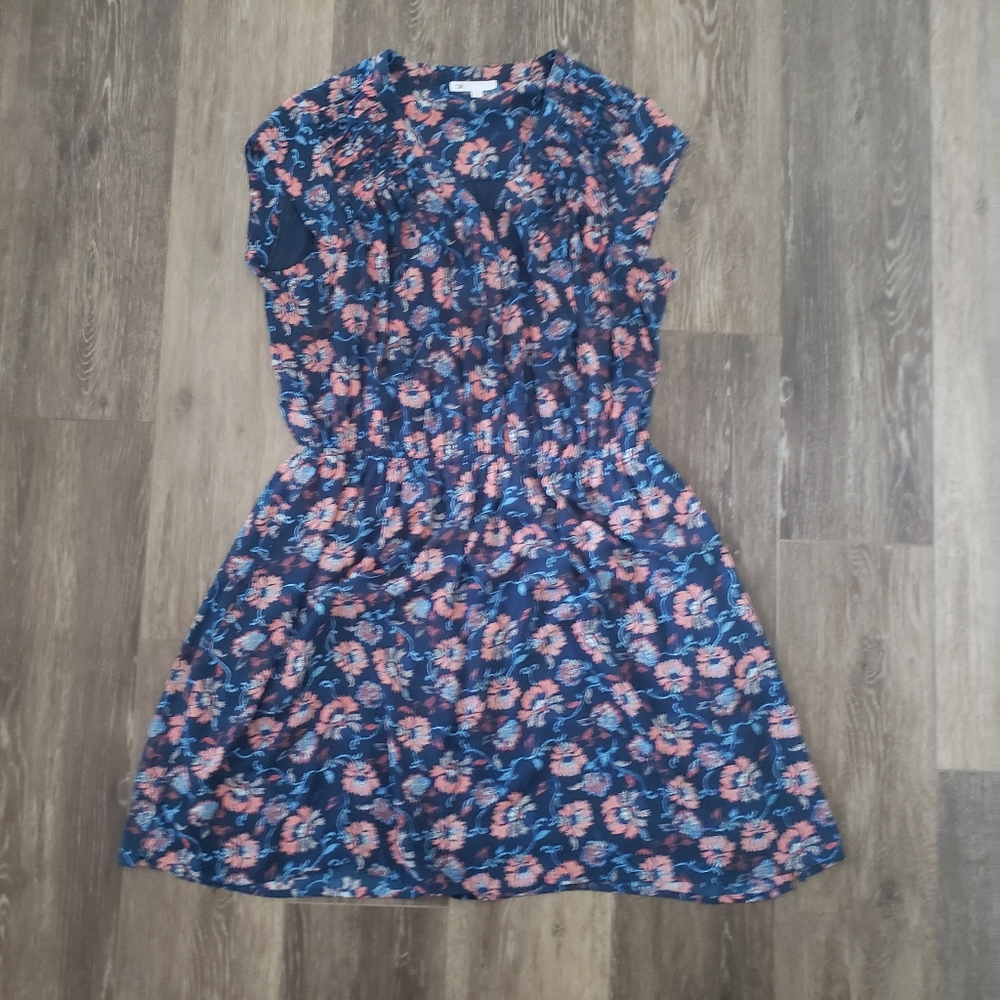 DR2 Blue Floral Dress Size 1X